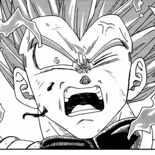 Dragon Ball Super Manga Chapter 12 (Saiyan's Pride) cover