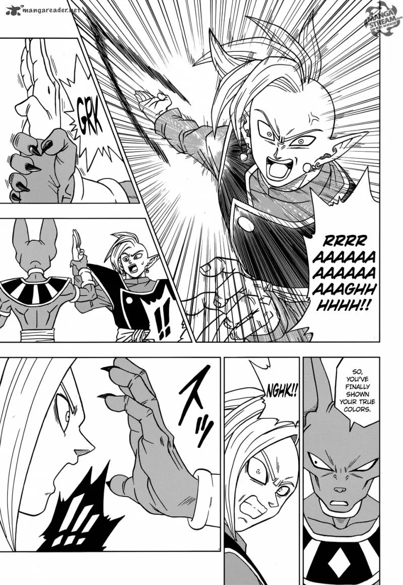 Dragon Ball Super Manga Chapter 19 page 29 - Another Zamas