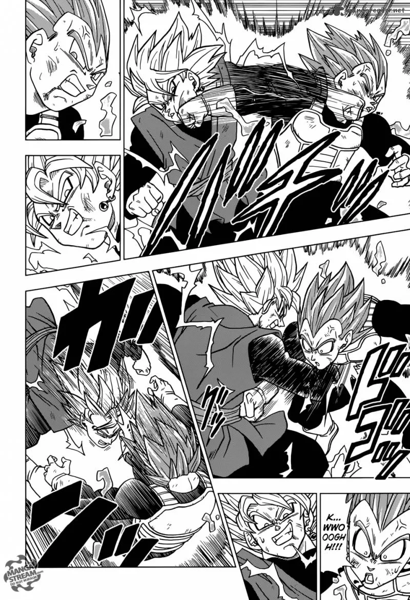 Dragon Ball Super Manga Chapter 20 page 14 - The Zero Mortal Project