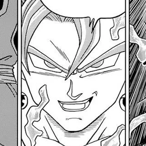 Dragon Ball Super Manga Chapter 23 (The Potara's True Worth) cover