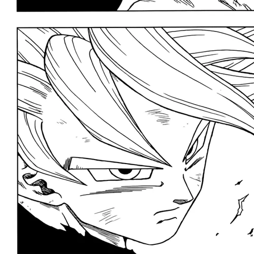 Dragon Ball Super Manga Chapter 41 (Ultra Instinct) cover