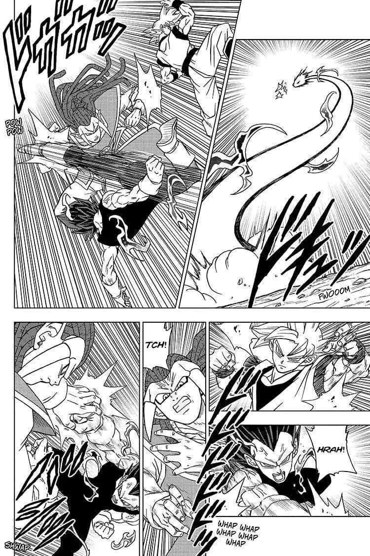Dragon Ball Super Manga Chapter 84 page 24 - A People's Pride
